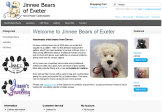 Jinnee Bears screenshot